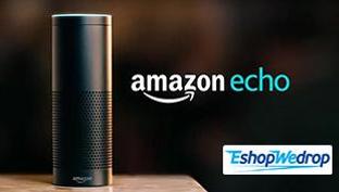 The Amazon Echo